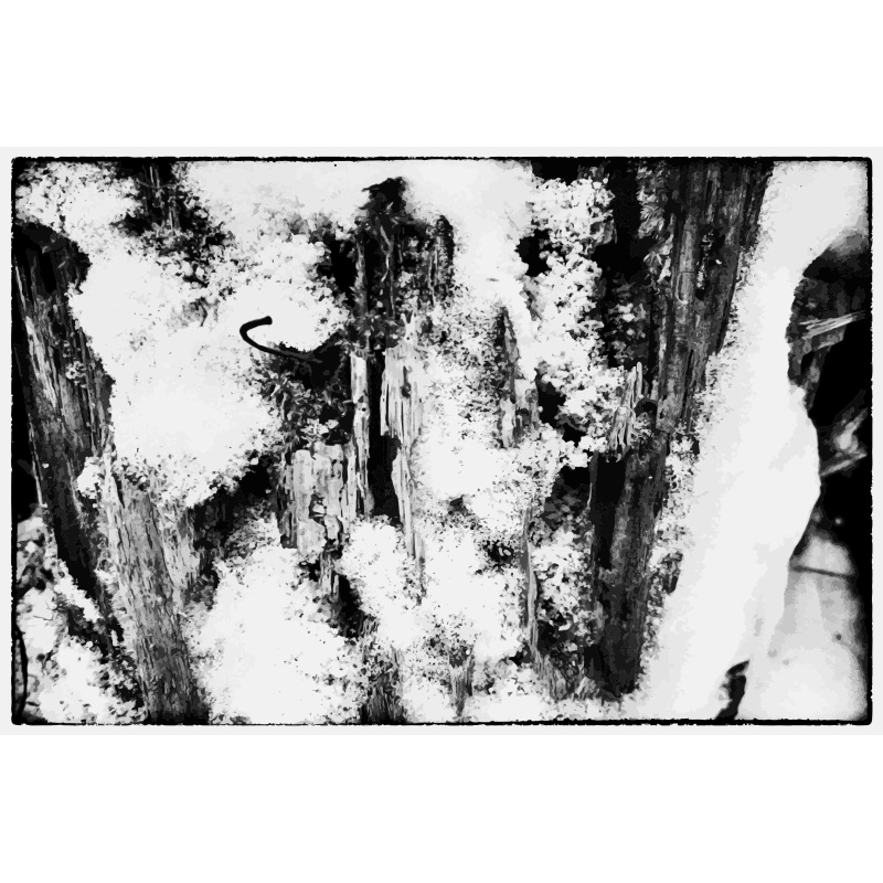 Abstracto blanco y negro 3