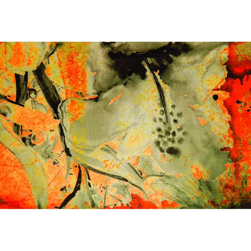 Abstracto color 12