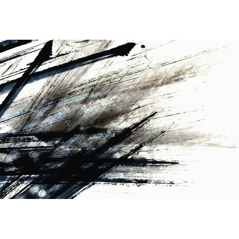 Abstracto blanco y negro 5