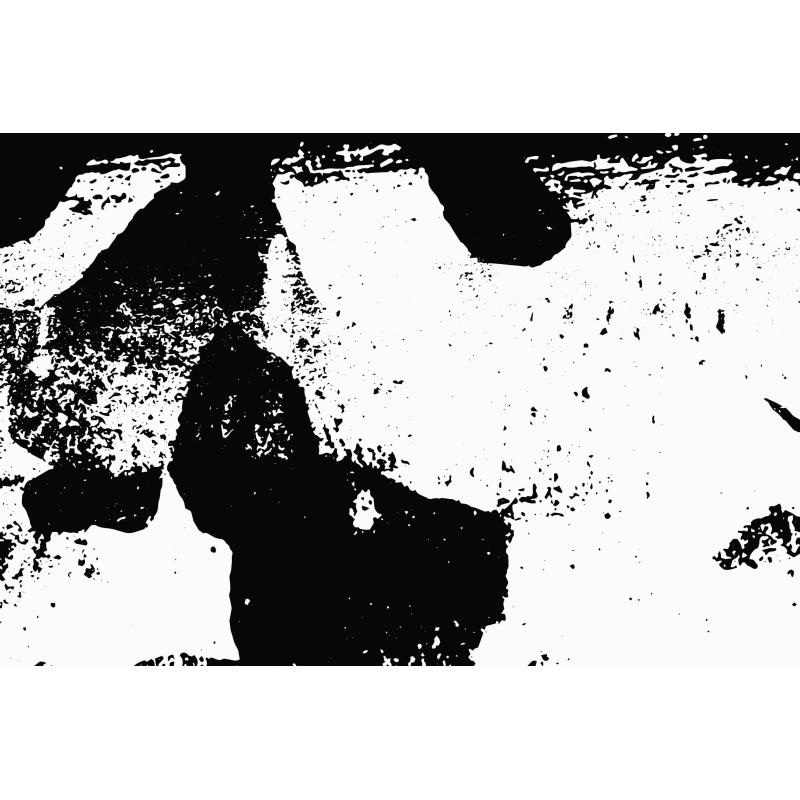 Abstracto blanco y negro 11