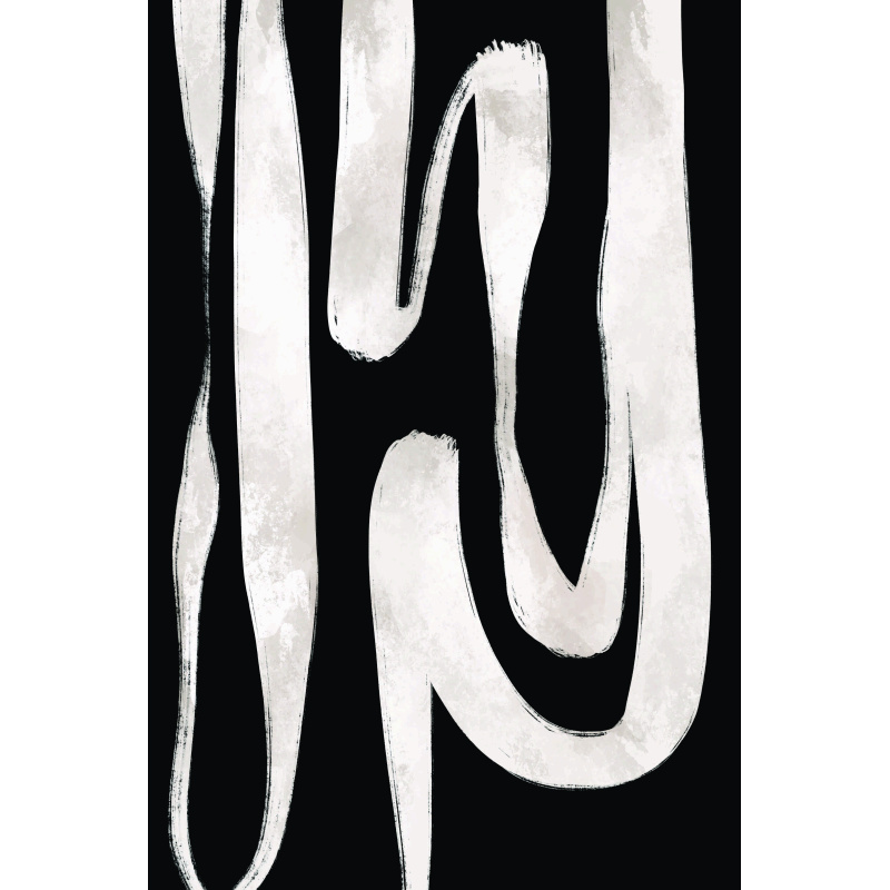 Abstracto blanco y negro 16