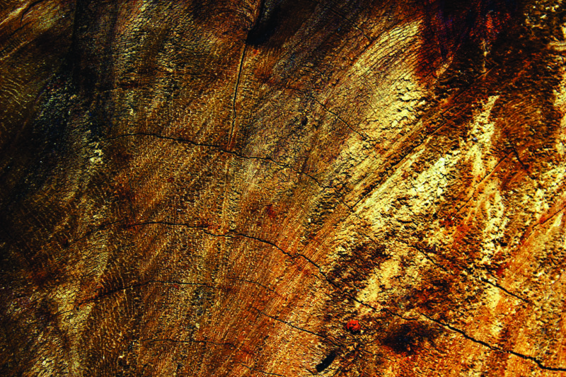 Abstracto dorado 3