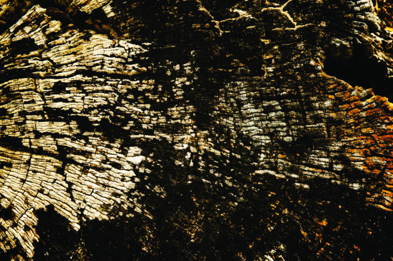 Abstracto dorado 9